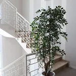 La Rocchetta Hotel